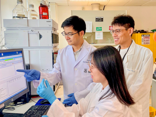 The research team, led by Professor Wang Weiping (left), has pioneered a new cancer- treatment strategy that amplifies cancer cell starvation for amino acids, which blocks cancer nutrient scavenging and thus advancing precise starvation therapy.
 